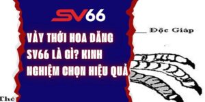 Vảy Thới Hoa Đăng Sv66 Là Gì? Kinh Nghiệm Chọn Hiệu Quả