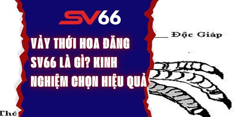 Vảy Thới Hoa Đăng Sv66 Là Gì? Kinh Nghiệm Chọn Hiệu Quả